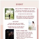 최영진 | 상록아트홀 가성비 본식스냅 계약 후기 :: 퀸앤스냅 (내돈내산+짝꿍할인코드 공유해드려요)