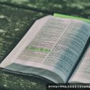 목동이현민수학보습학원 | 목동 입시학원 추천] 영어학원수학학원,초등중등고등보습학원-소수정예,내신관리 목동 영어학원수학학원...