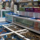 포항 죽도시장 회센터 &#39;동남회식당&#39; 회 추천 후기