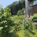 외천3리경로당 이미지