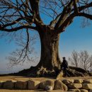 송정그림책마을 이미지