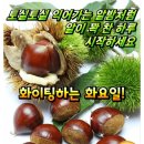 파워큐셀