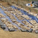 청주흥덕지구축구공원 이미지