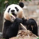 한낮의 꿈 이미지