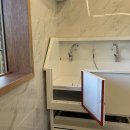 애견세상 이미지