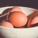 대형농장 3호 이미지