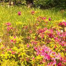 잭슨 당구장 이미지