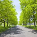 21세기좋은병원 이미지