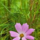 흙이야기 이미지