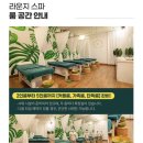 스파 | 나트랑 그랜드스파 내돈내산 후기 가격, 할인, 마사지 솔직 리뷰