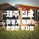 표선공인중개사사무소 이미지