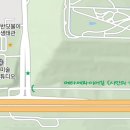 중앙로 메타세콰이아길 이미지