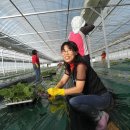 예지농장 이미지