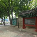 삼성전자 맞은편 공원 이미지