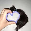 재환오빠와 함께 머리를 짧게 자른 지 1년이 되었어요💇🏻‍♀️..my ponytail🐴 이미지