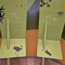 동강생태정보센터 | 동강생태정보센터