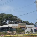 솔바람 | 홍성 대형카페 솔바람테마카페 후기 자연뷰 베이커리 카페🌿 (+근처 산책코스)