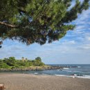 쇠소깍 공영 이미지