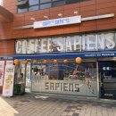 커피사피엔스당산효성해링턴점 | 합정역 카페 커피사피엔스 당산효성해링턴점 후기/합정동 카페