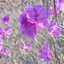 뒷동산농원 이미지