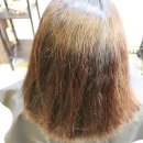 지니헤어(Jini hair)