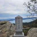 해평호주차장 Daum카페