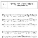 들으면서 배우는 서양 음악사 이미지