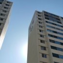 샛별비디오 이미지