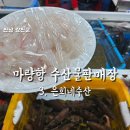 강진군수산업협동조합 | [강진 여행] 마량진항 수산물판매장 어시장 회센터...4만원 3번 은희네수산 내돈내산 솔직후기 가성비 최상