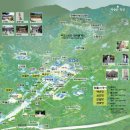 수덕사 진입로 이미지