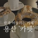 카펫 | 밤과 어울리는 용산 카페 | 번초코, 머드플랫, 번모카