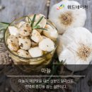 밸런스요가 이미지