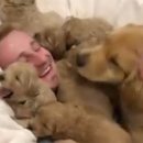 행복한집사 이미지