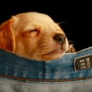 백정신건강의학과의원 이미지