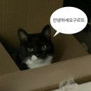 유가네닭갈비거창점 | 260225-0323 6차 항암 후기 (키 +AC)/캐모포트 돌출로 인한 외래 후기