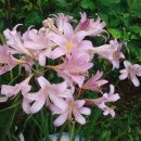 남진농장 이미지