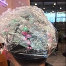 서면삼정타워점 이가자헤어비스 -리젠트펌, Nc백화점 피자몰 후기
