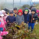 지혜숲유치원 이미지