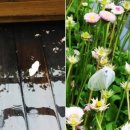 봄비문학관 이미지