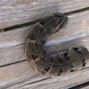 주홍농장 이미지