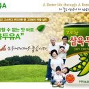 청운유통