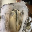 날고기애(愛) 영도본점 | 부산 영도 동삼동 술집 영도뭉티기맛집 부산빵게 파는곳 [날고기애 영도본점]