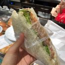 D00162 | [이태리남부 여자 혼자 자유여행] 스페인광장 이태리남부 가는길