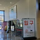 수영약국 | 오시리아 약국 위치 및 이용 후기 (친절한 상담 만족)