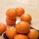 비타민과일촌