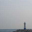 부산 일박이일 중 첫째날- 뉴러우멘관즈, 남천동 녹차빙수, 해운대블루라인파크, 오륙도수선화, 영도...