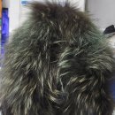 한양 명품세탁 이미지