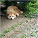 수월산방 이미지