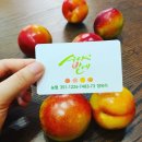 수야농장 이미지