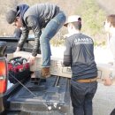 디바인리조트 이미지